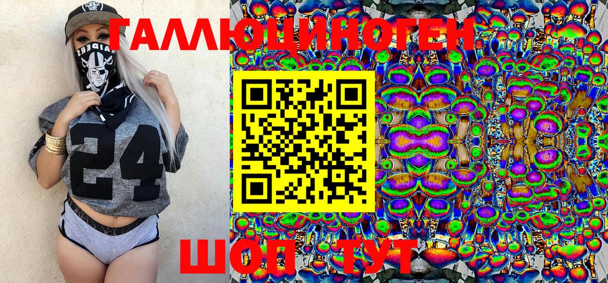 Псилоцибиновые грибы Cubensis Обь